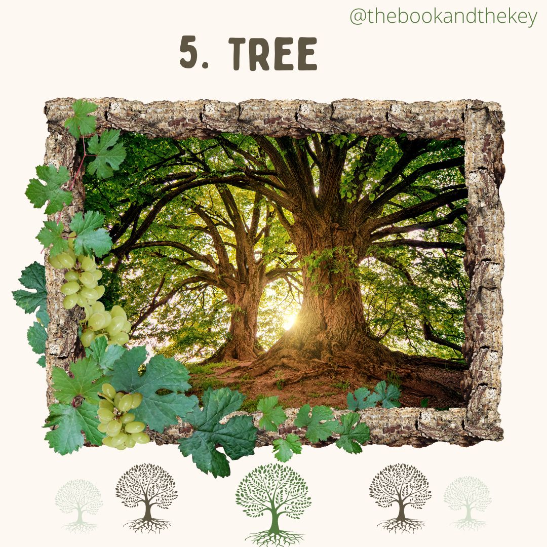 5. Tree - the Lenormand