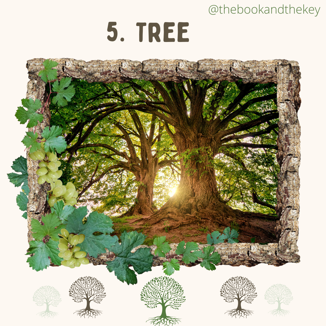 05. Tree Lenormand Meanings and Combinations The Book and the Key