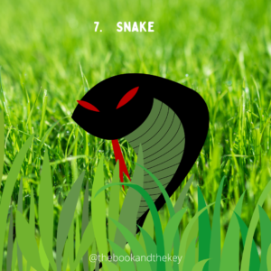 7. Snake - the Lenormand card - meanings and combinations